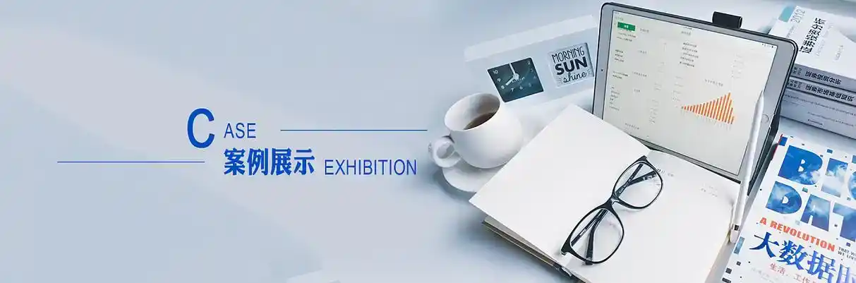 丽水市软件开发
